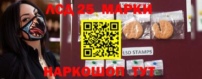 шишки Лесосибирск