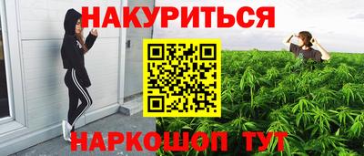 шишки Лесосибирск