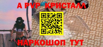 шишки Лесосибирск